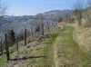 Les cr�tes vosgienne